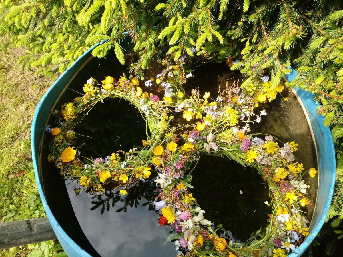 特雷芬Almhaus Florian公寓 外观 照片